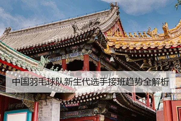 中国羽毛球队新生代选手接班趋势全解析